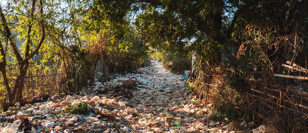 Photo of plastic waste, pollution, in what looks like a dried stream bed among trees.
