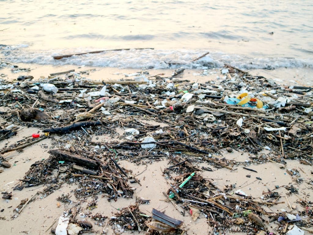 Photo of plastic waste pollution on a beach