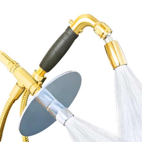 4-Way Combo Kit - Handheld with Reflections™ Shower Head -  Polished Brass - Forever™ Rubber Grip - with Trickle Valve