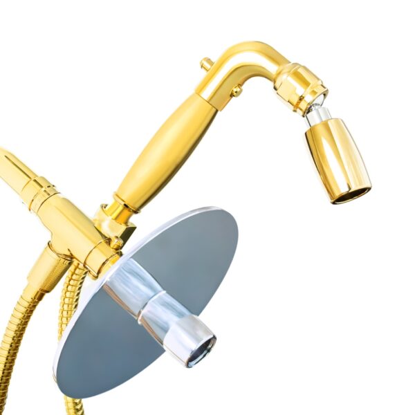 4-Way Combo Kit - Handheld with Reflections™ Shower Head -  Polished Brass - Standard Grip - with Trickle Valve