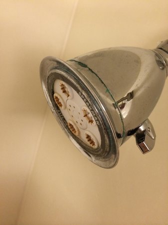 Rusted, old shower head